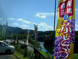 budou08.jpg