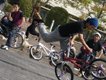 sutofesu bmx.jpg